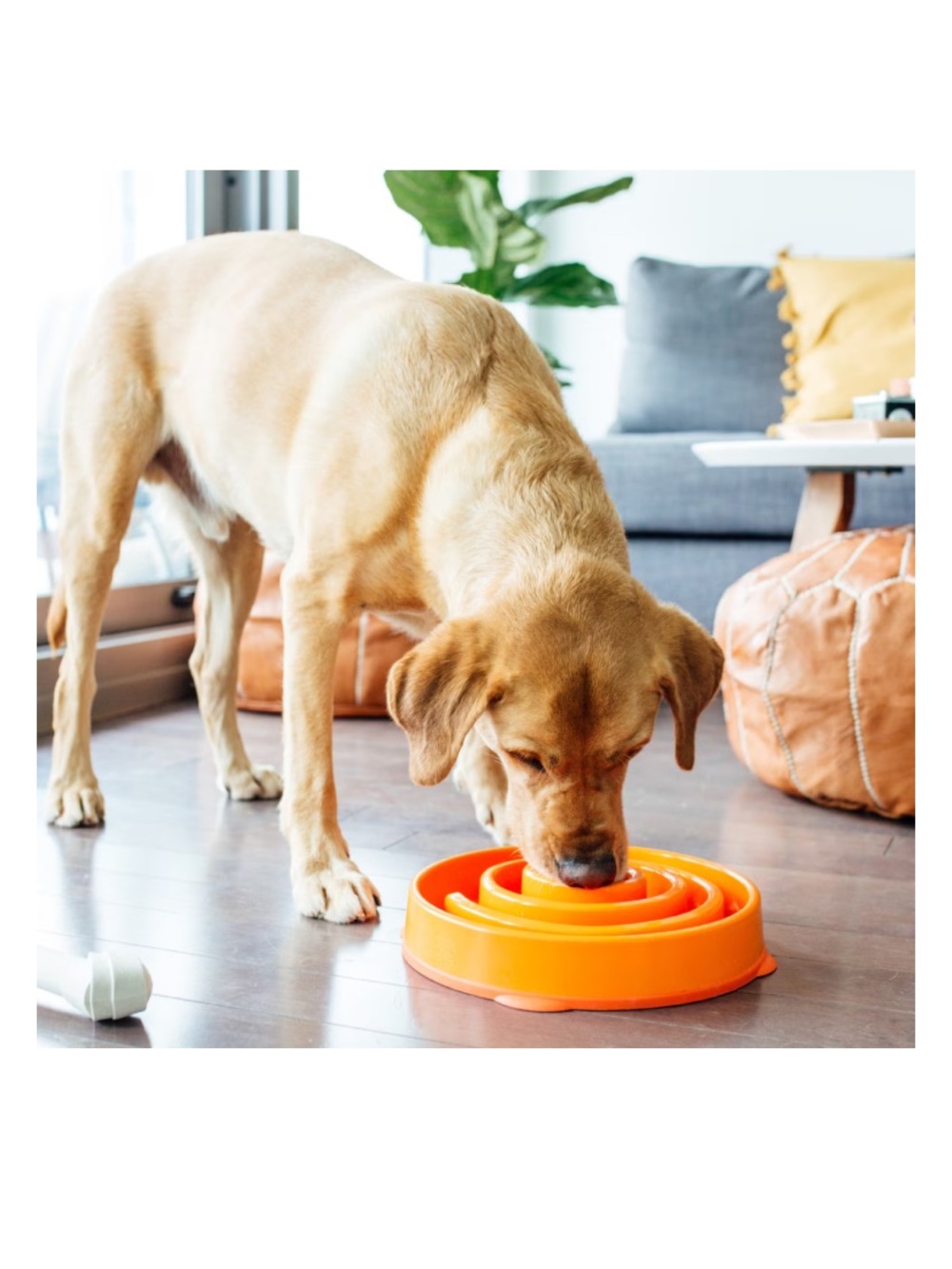 Outward Hound Fun Slow Feeder Interactive Dog Bowl, Orange, 4 cup - Picture 10 of 12